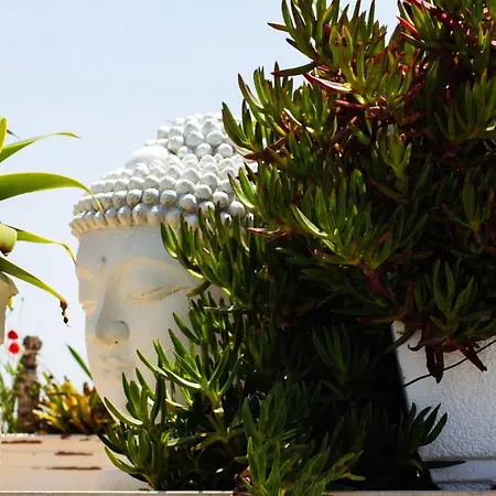 Secret Spot Luxury * Lourinha (Lisbon)