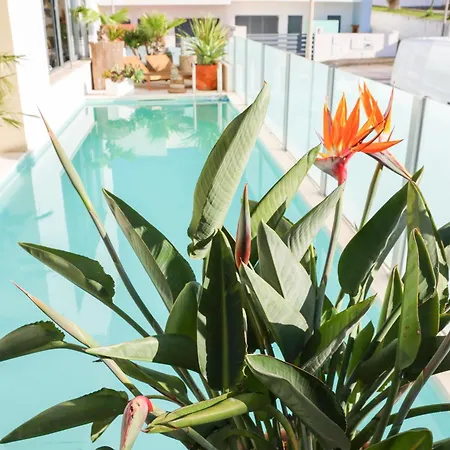 Secret Spot Luxury Willa *