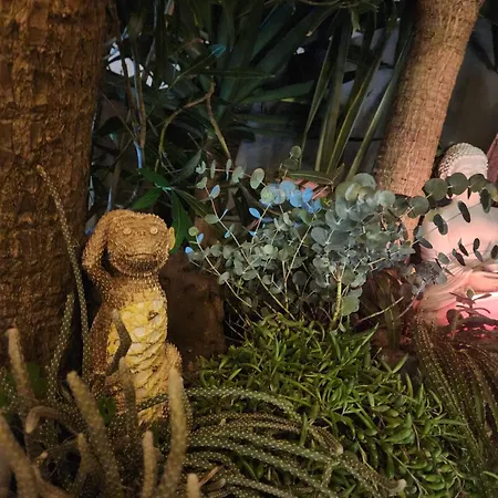 Secret Spot Luxury Villa Lourinhã