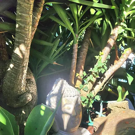 Secret Spot Luxury Villa *