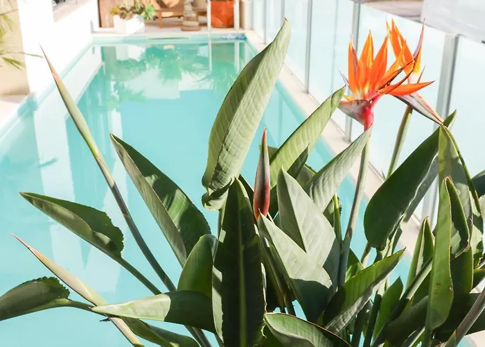 Secret Spot Luxury Villa *